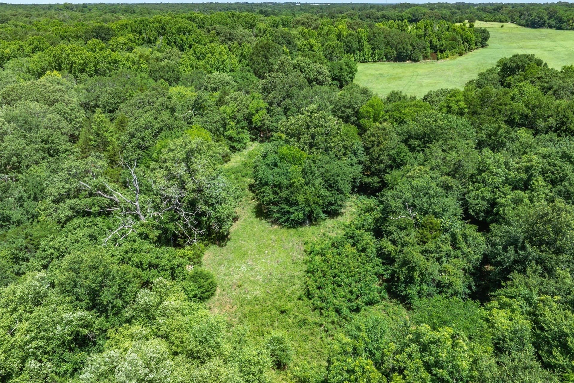 6.91 acres in Rains County - photo 8