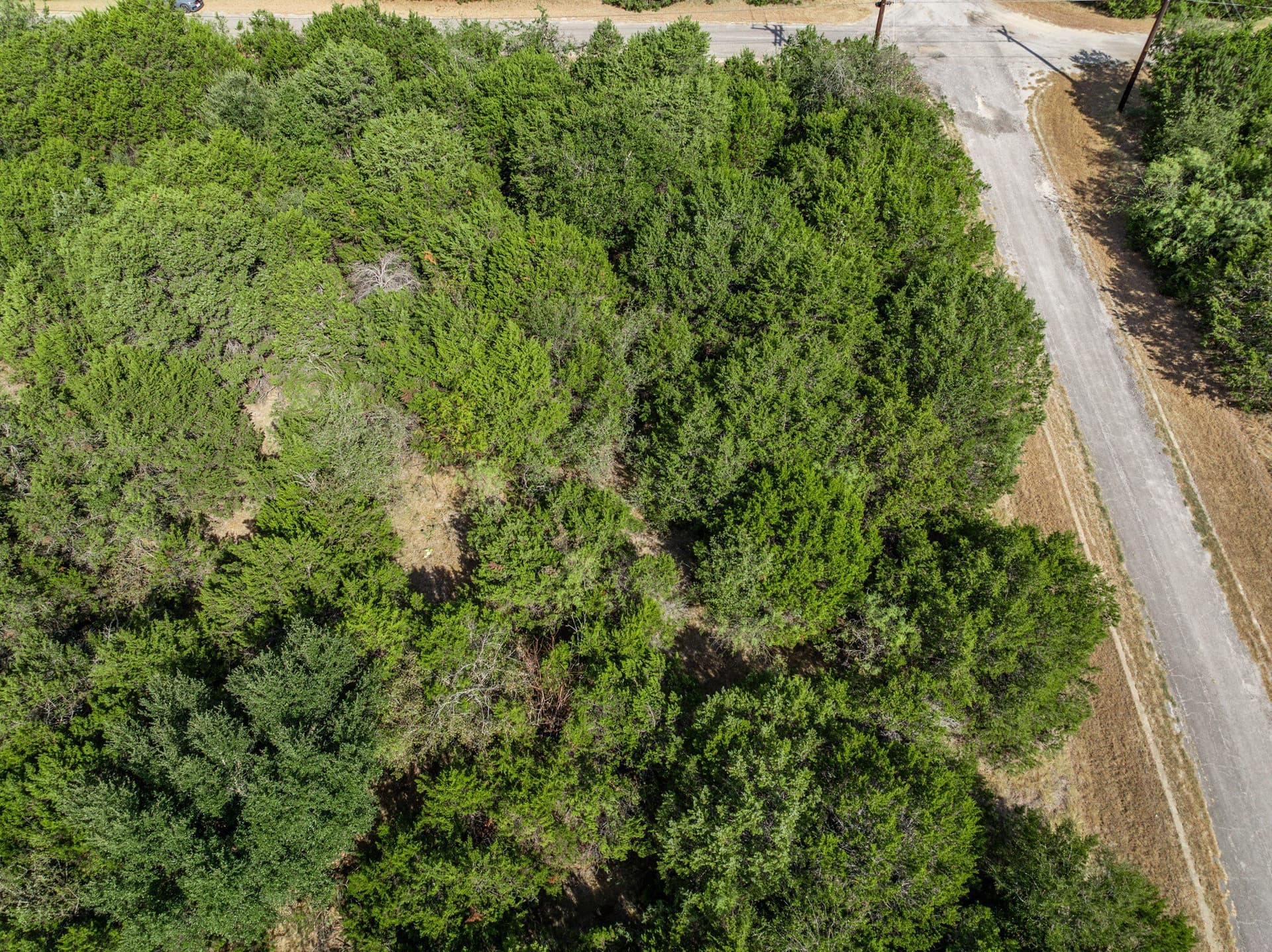 0.28 acres in Hill County - photo 23