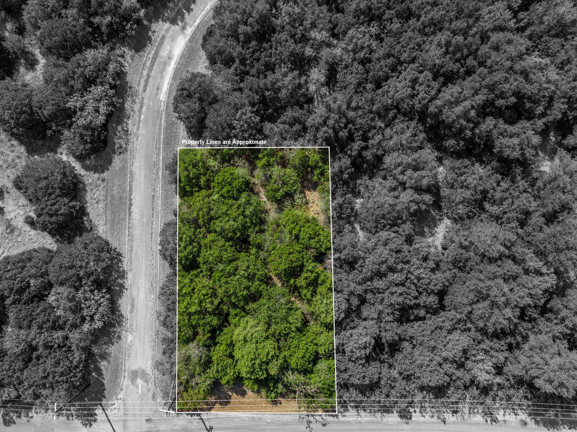 0.28 acres in Hill County - photo 2