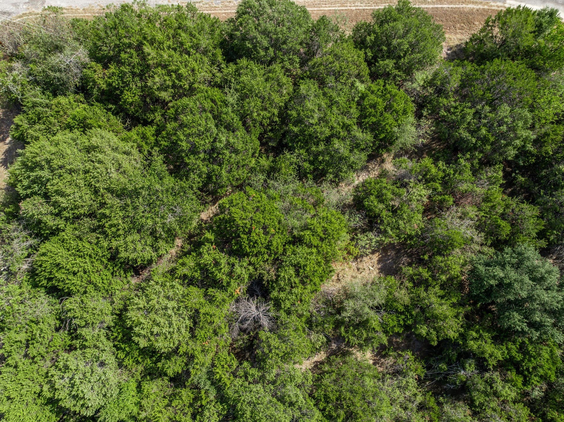 0.28 acres in Hill County - photo 22