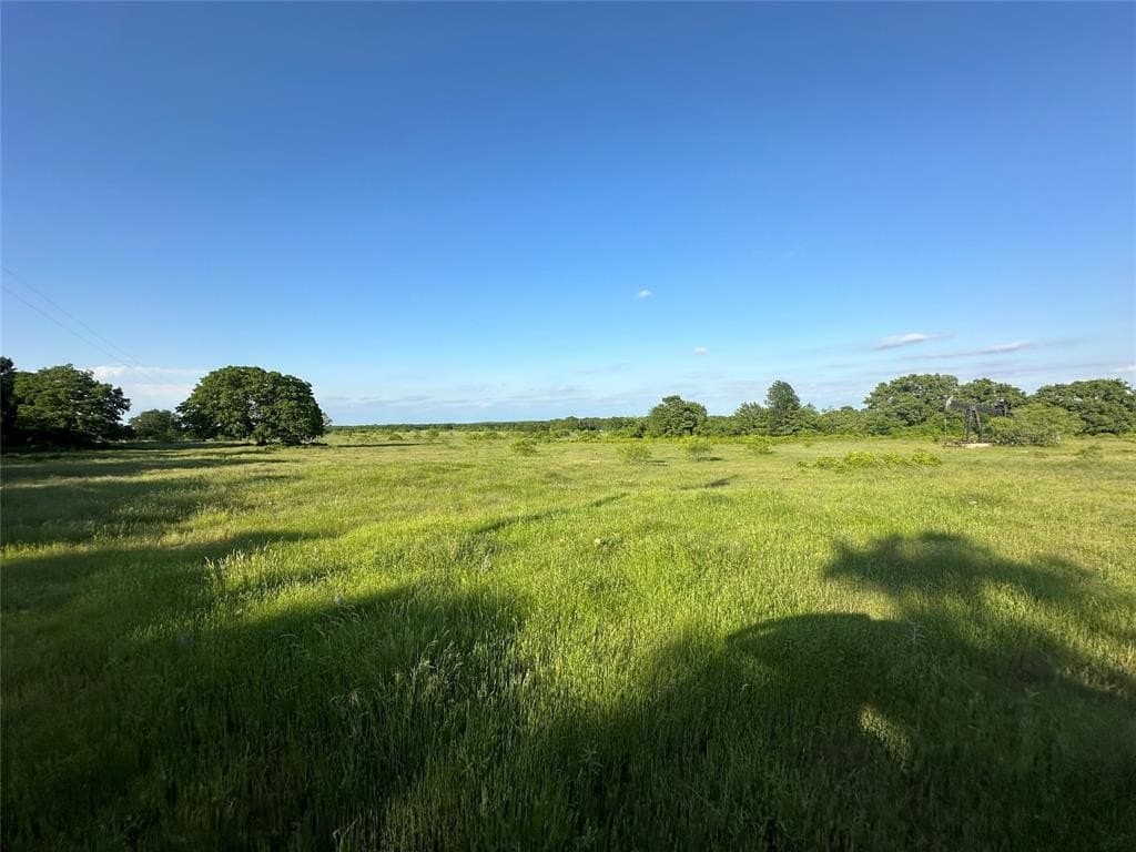 47.97 acres in Wise County gallery image 3