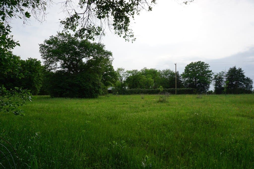 22.5 acres in Henderson County - photo 24