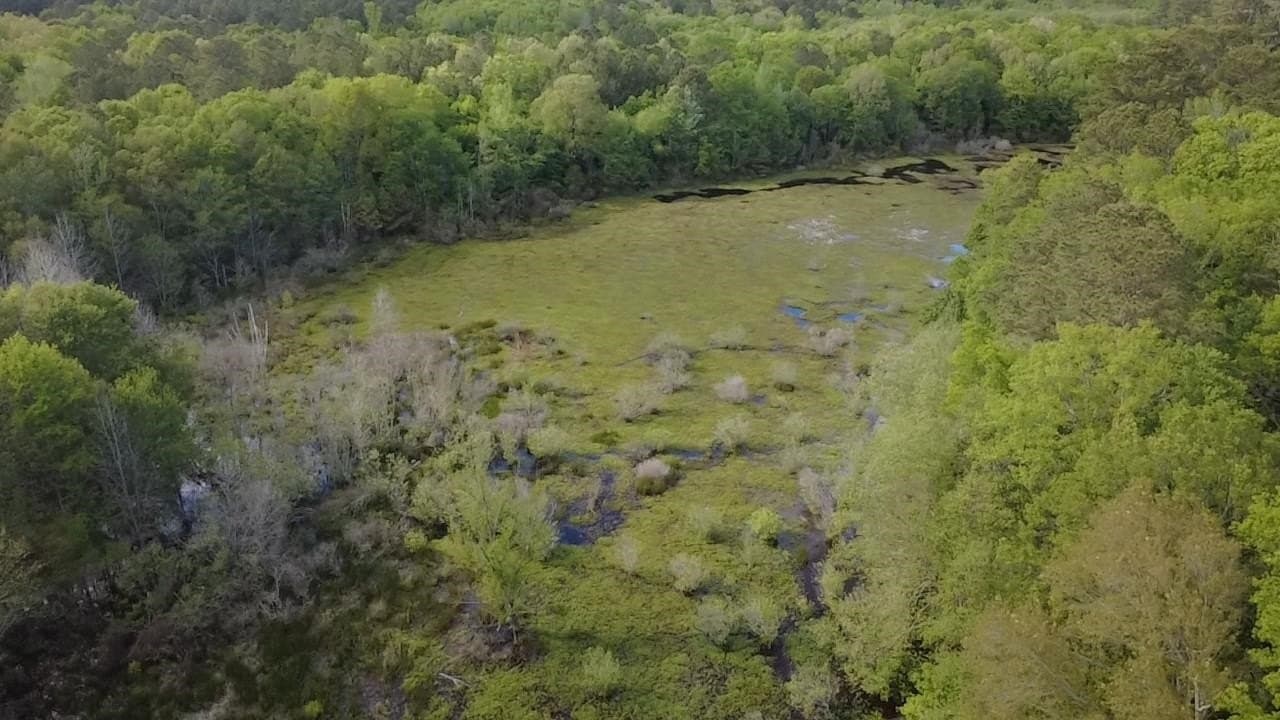 13.65 acres in Marion County - photo 29