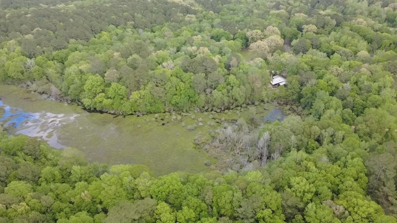 13.65 acres in Marion County - photo 26