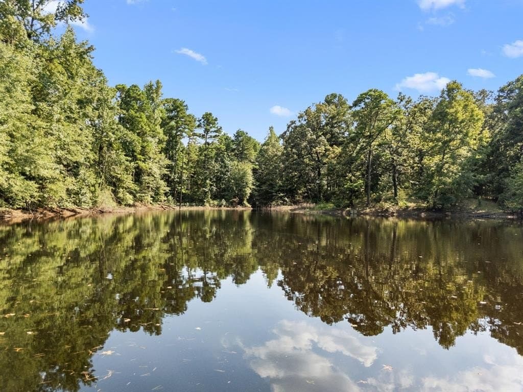 37.72 acres in Wood County gallery image 4