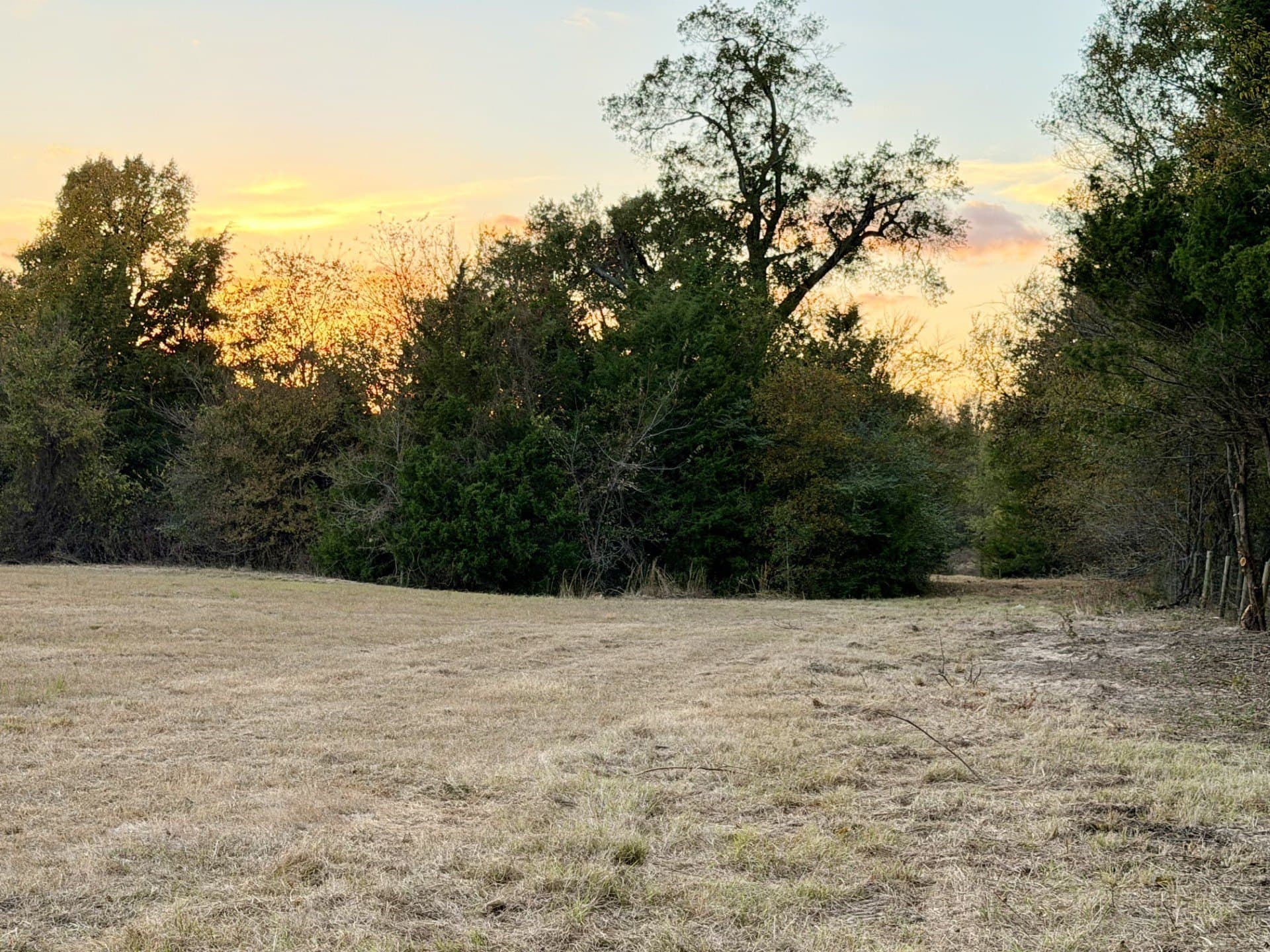 2.47 acres in Rains County featured view