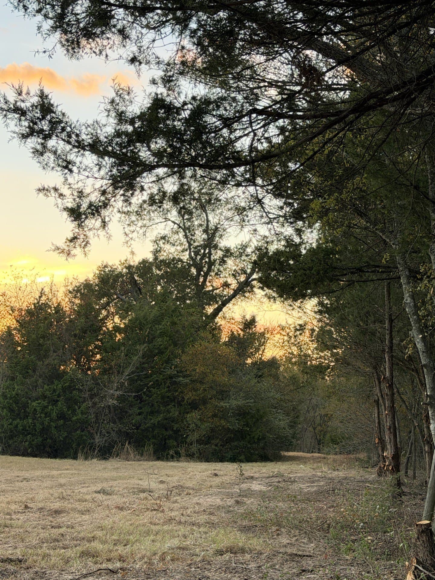 2.47 acres in Rains County - photo 6