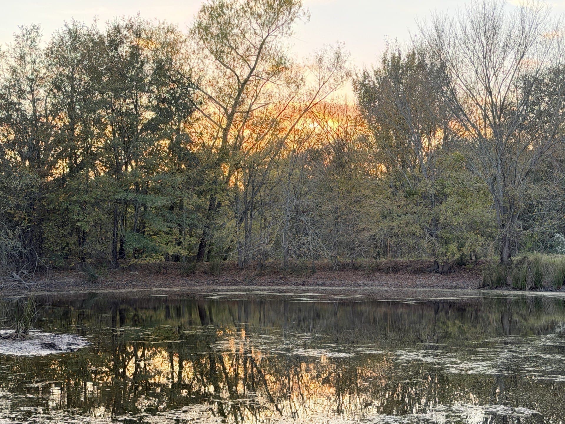 2.47 acres in Rains County - photo 15