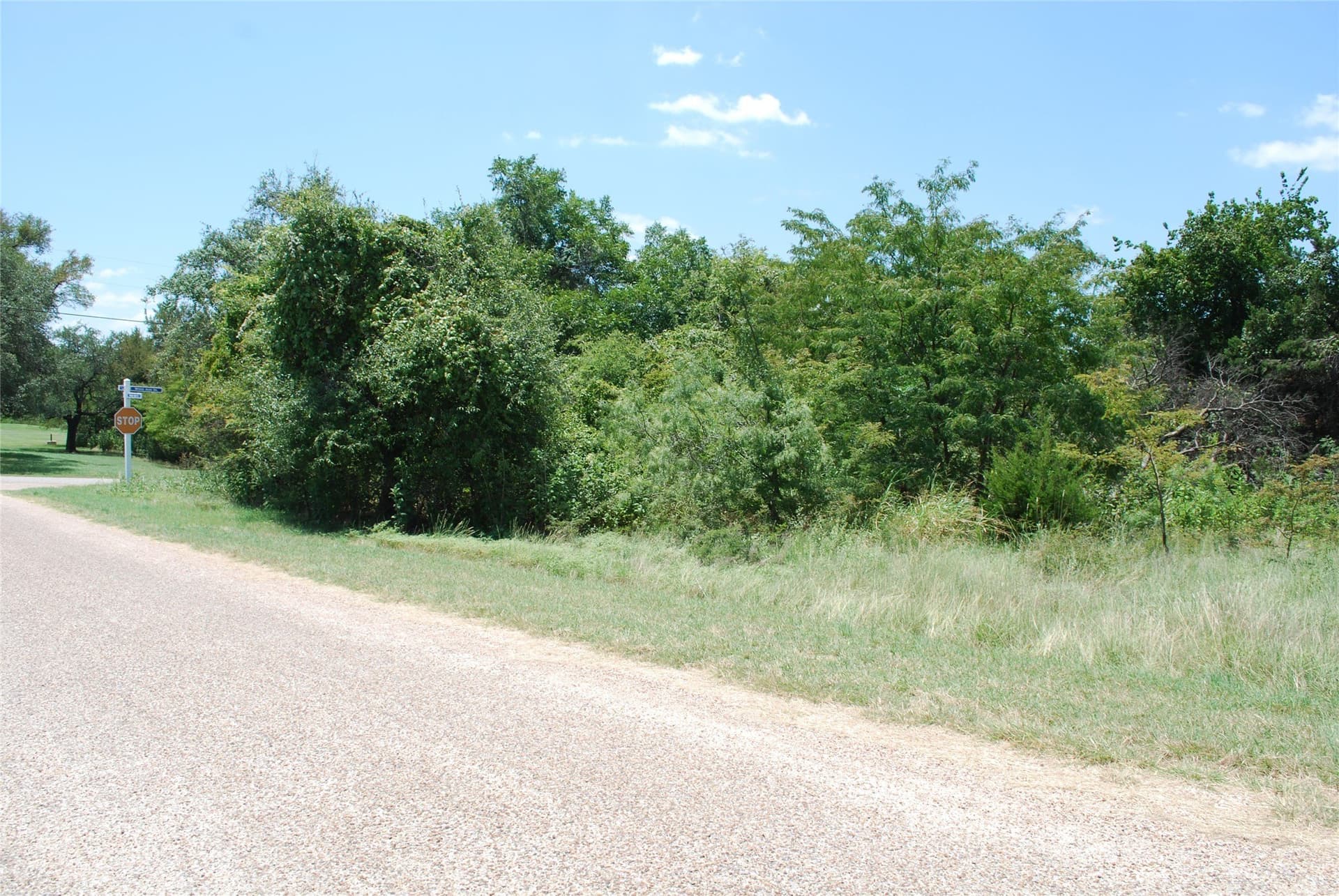 0.26 acres in Hill County - photo 9