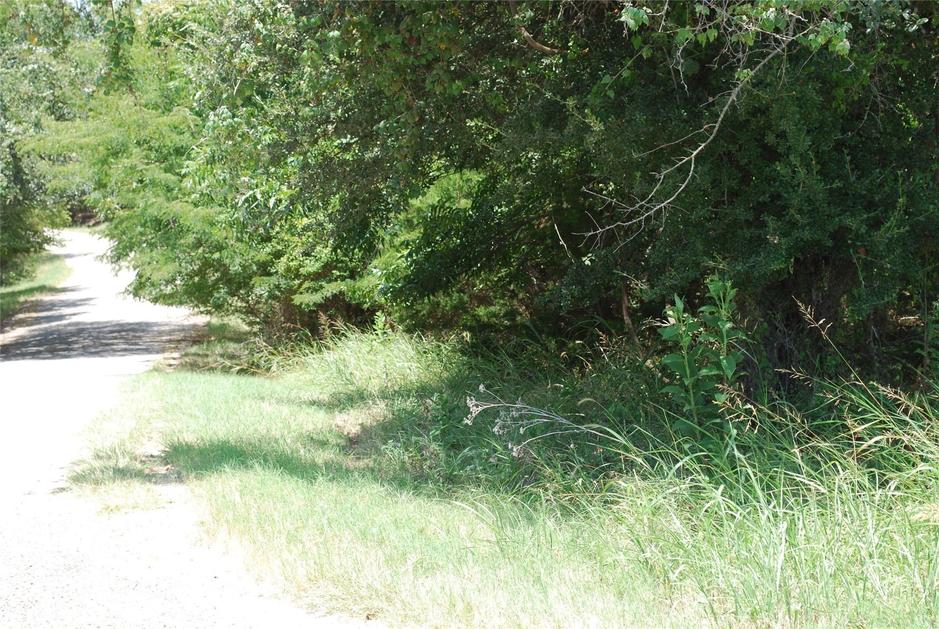 0.26 acres in Hill County - photo 3