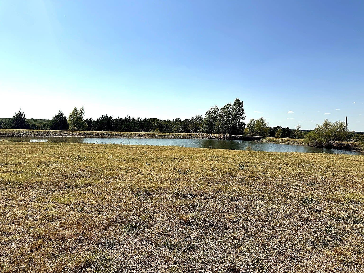 10 acres in Fannin County - photo 38