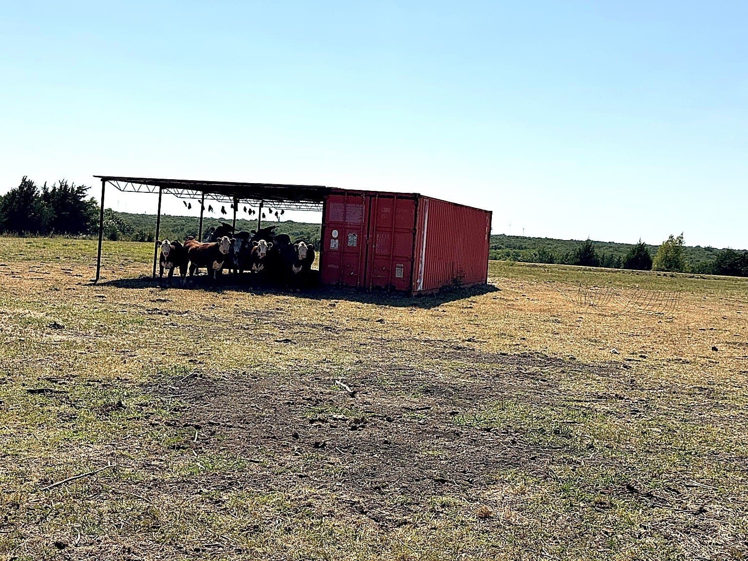 10 acres in Fannin County - photo 13