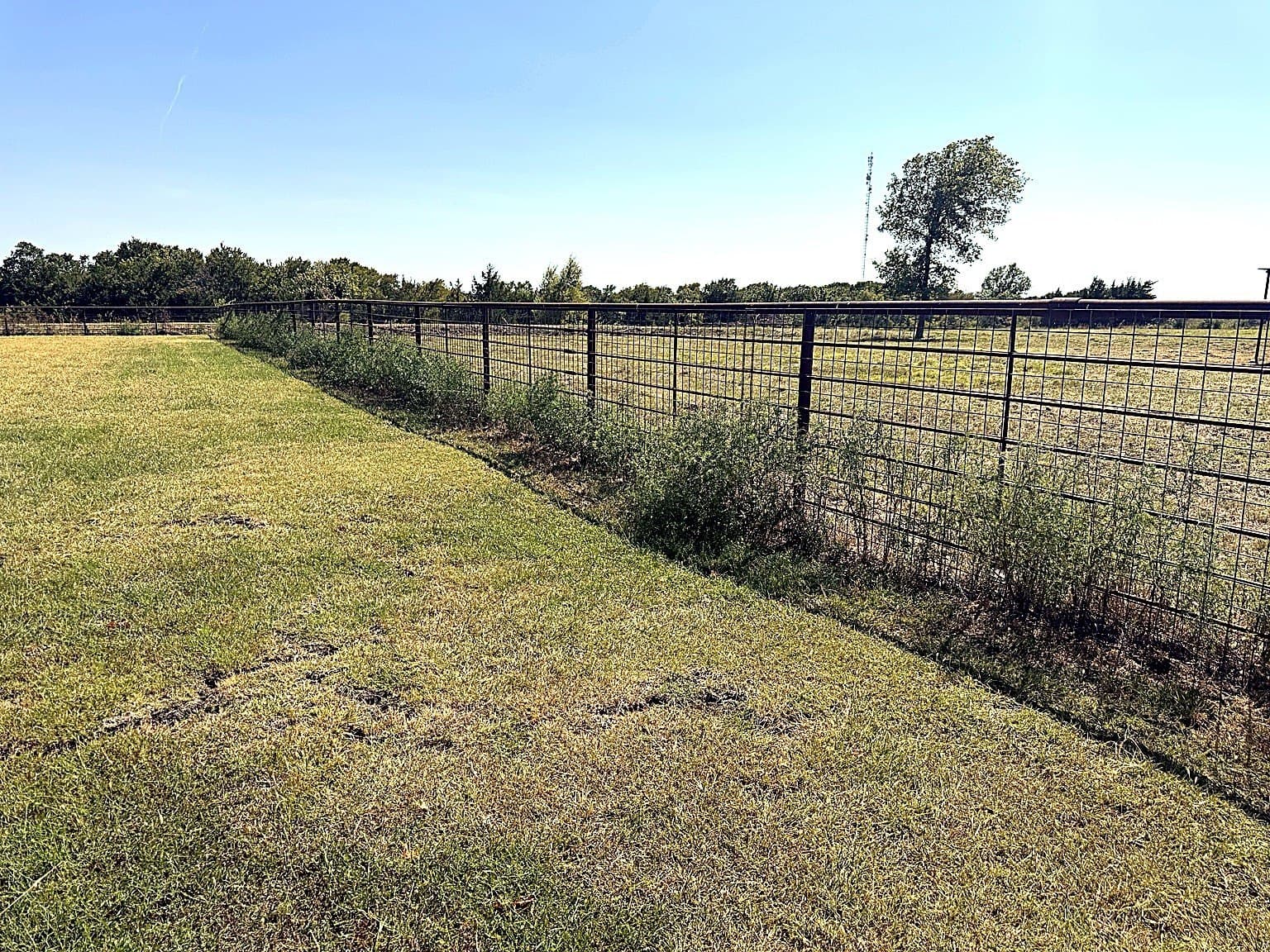 10 acres in Fannin County - photo 39