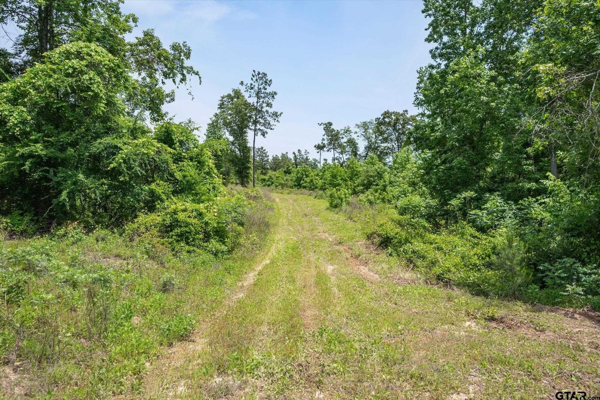 39.26 acres in Cherokee County - photo 22