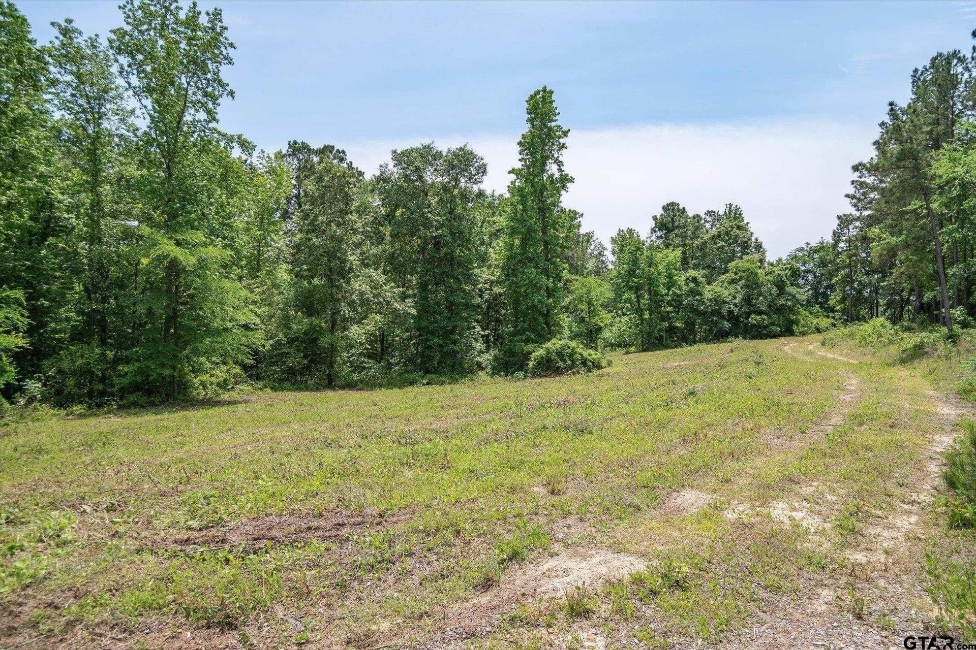 39.26 acres in Cherokee County - photo 23