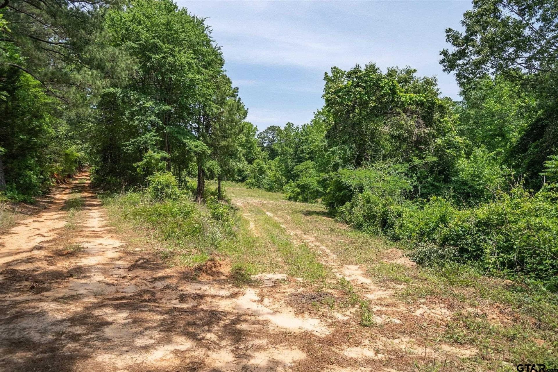 39.26 acres in Cherokee County - photo 21