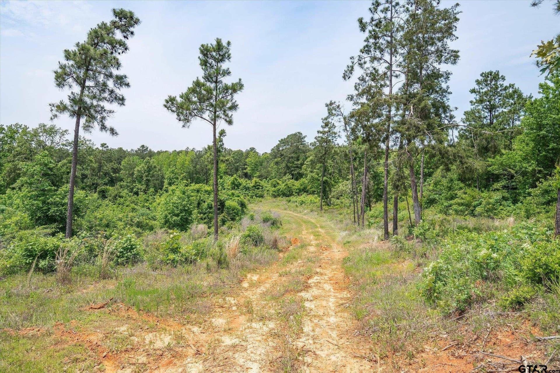 39.26 acres in Cherokee County - photo 4