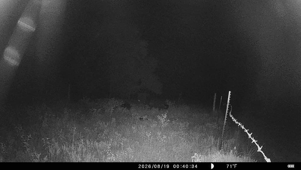 71.6 acres in Lavaca County - photo 25