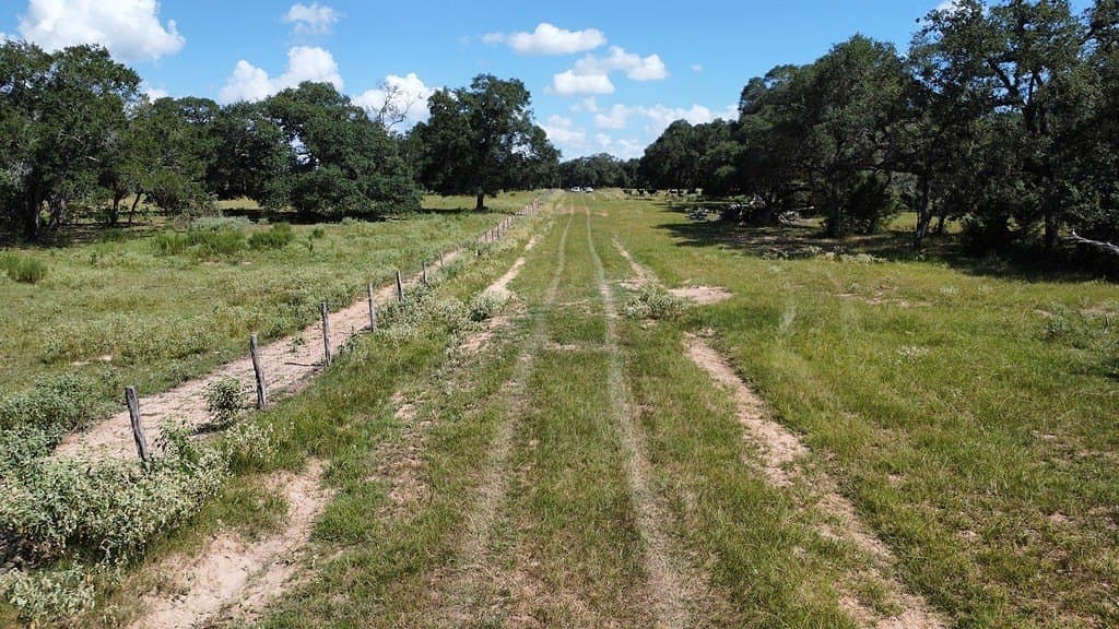 71.6 acres in Lavaca County - photo 10