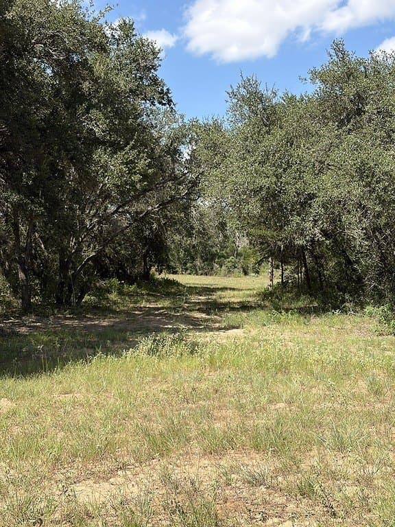 71.6 acres in Lavaca County - photo 19