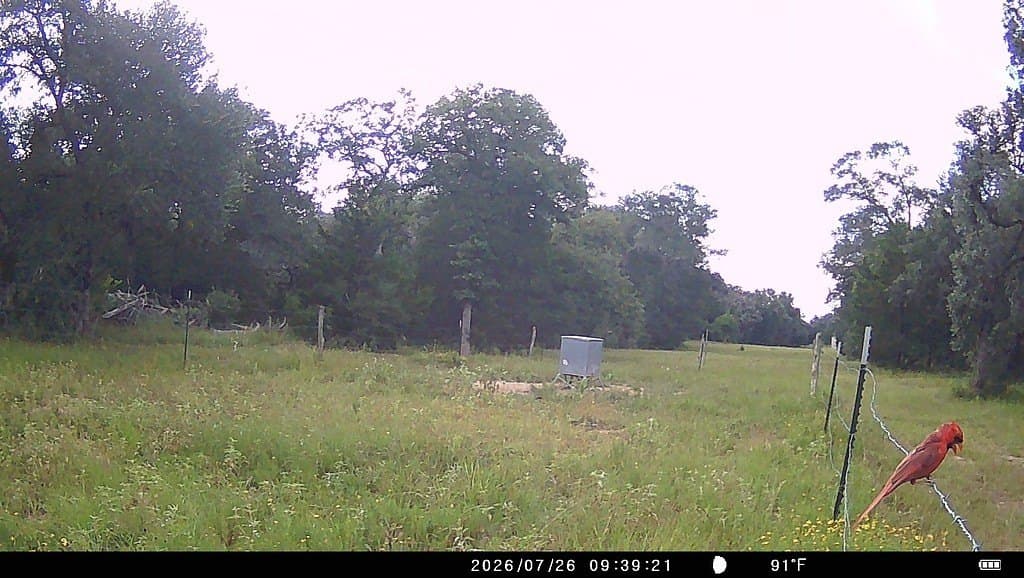 71.6 acres in Lavaca County - photo 27