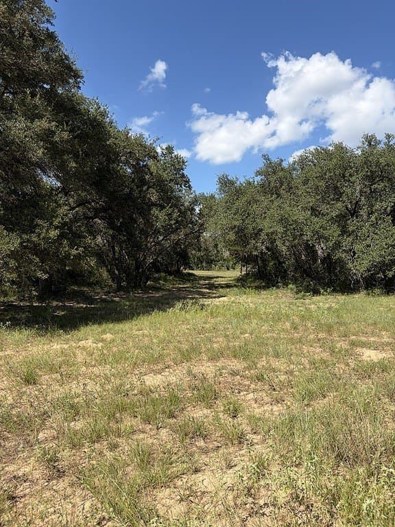 71.6 acres in Lavaca County - photo 18