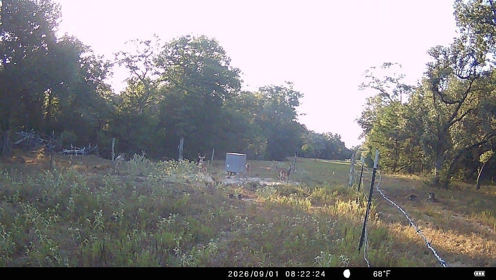 71.6 acres in Lavaca County - photo 24