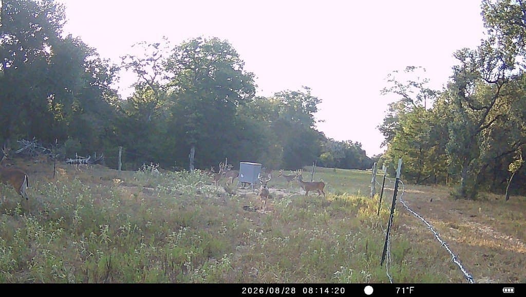 71.6 acres in Lavaca County - photo 28