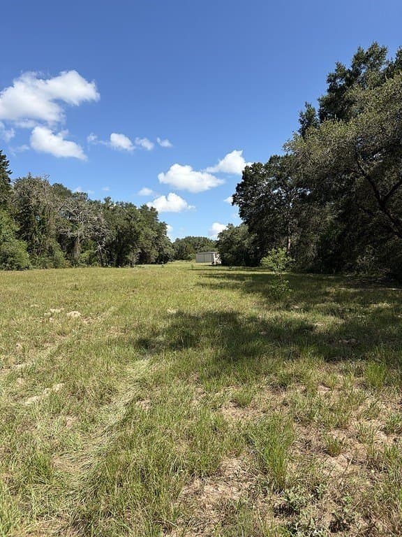 71.6 acres in Lavaca County - photo 20