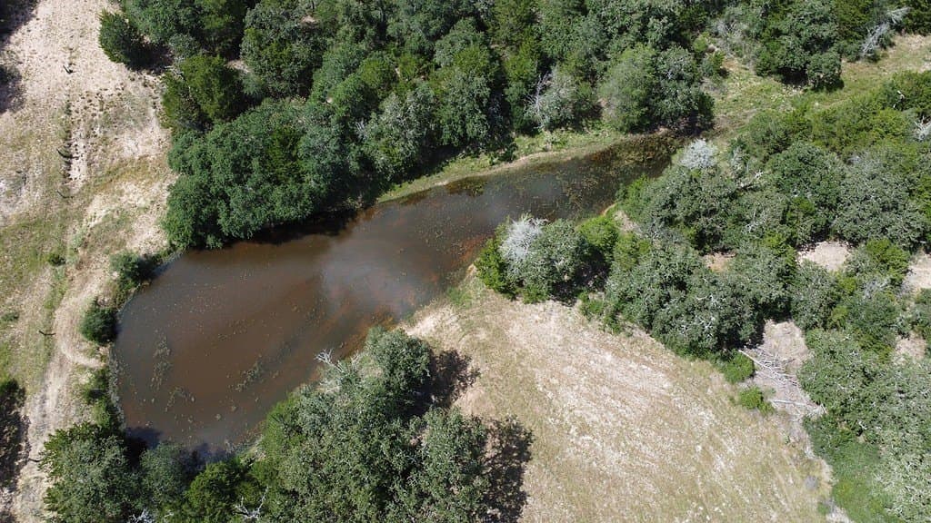 71.6 acres in Lavaca County - photo 8