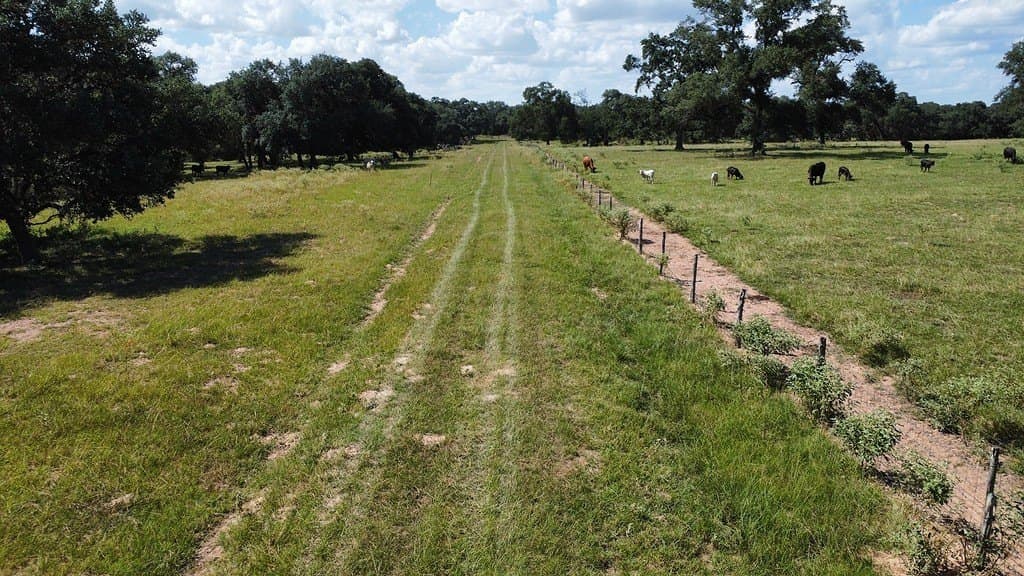 71.6 acres in Lavaca County - photo 9