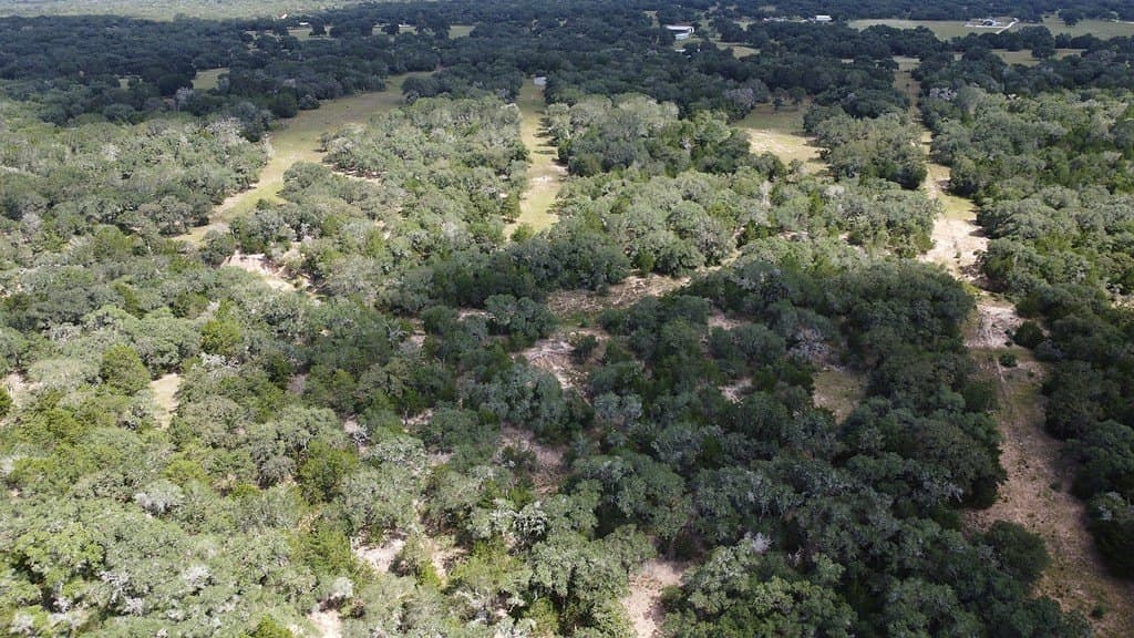 71.6 acres in Lavaca County - photo 16
