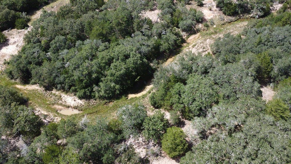 71.6 acres in Lavaca County - photo 6