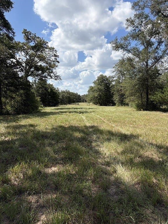 71.6 acres in Lavaca County - photo 21