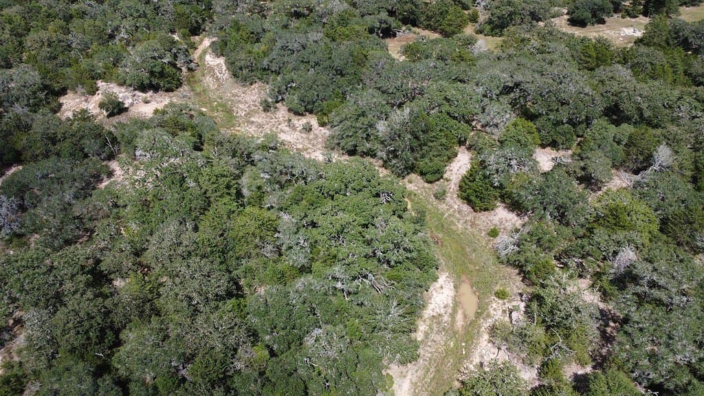 71.6 acres in Lavaca County - photo 7