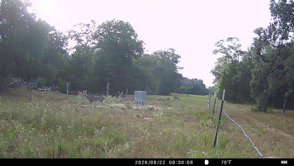 71.6 acres in Lavaca County - photo 30