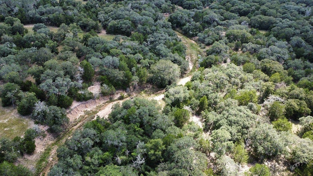 71.6 acres in Lavaca County - photo 3