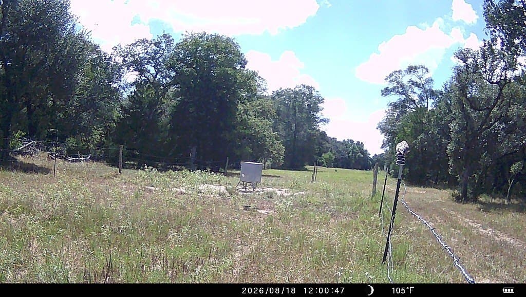 71.6 acres in Lavaca County - photo 23