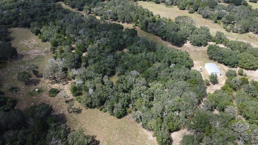 71.6 acres in Lavaca County - photo 17