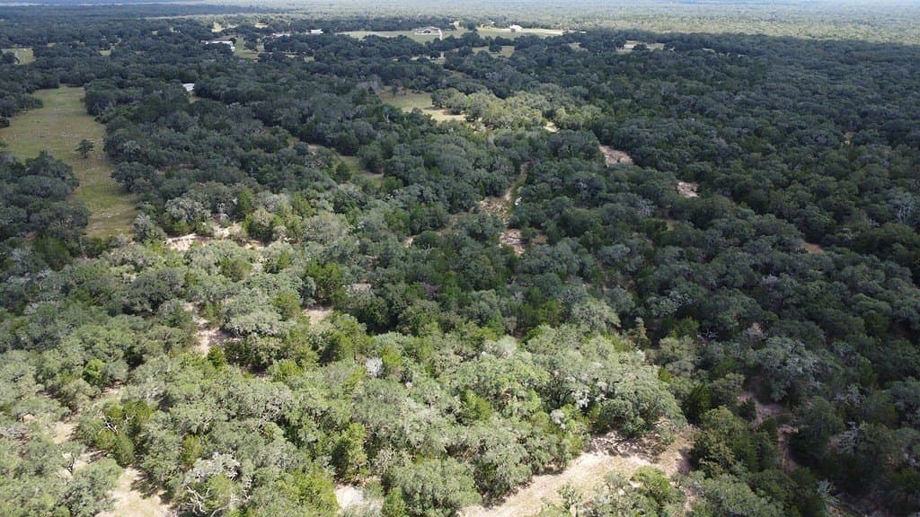 71.6 acres in Lavaca County - photo 11