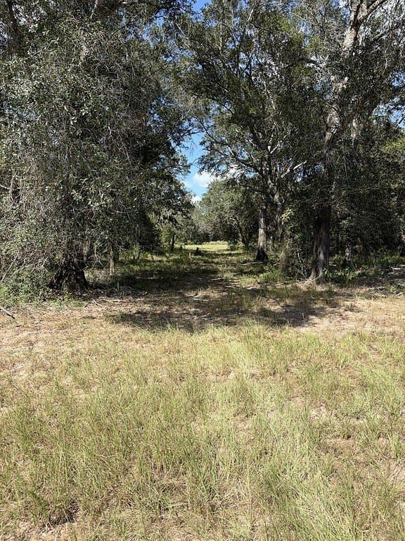 71.6 acres in Lavaca County - photo 22