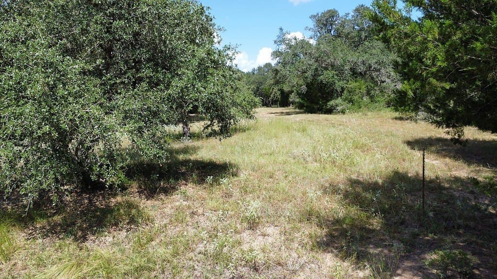 71.6 acres in Lavaca County - photo 2