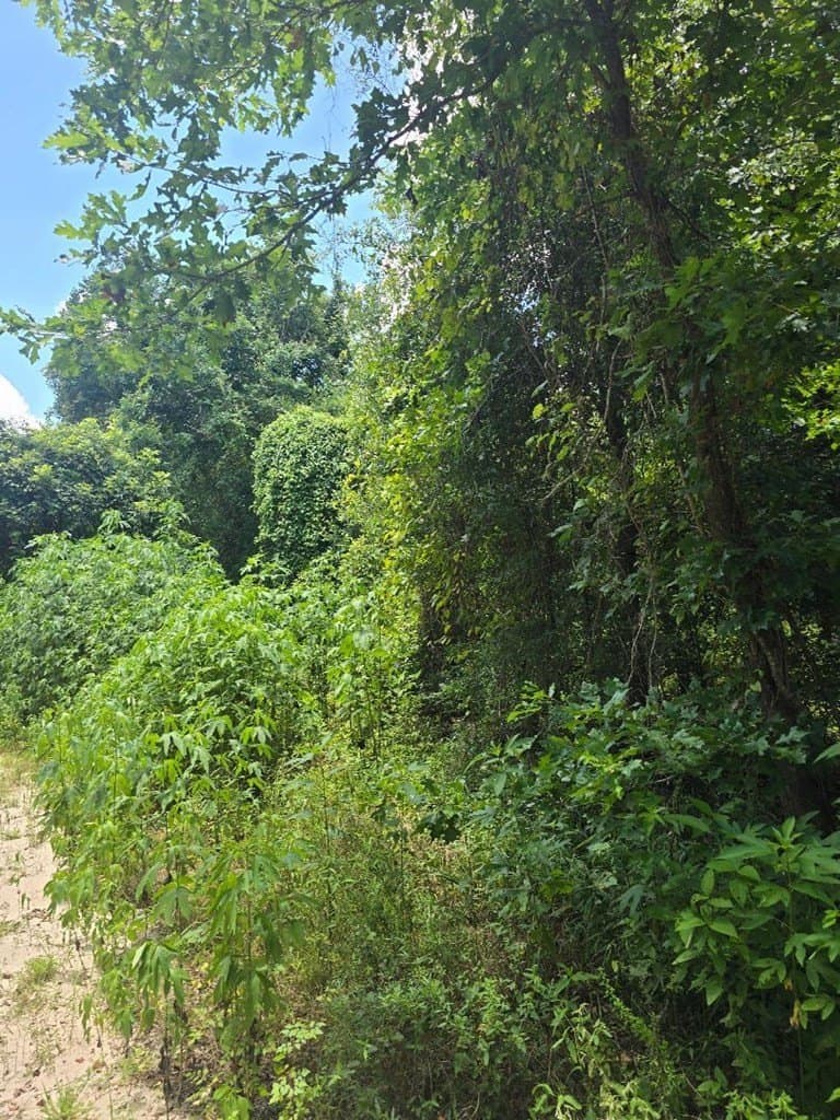 0.5 acres in Texas County - photo 4