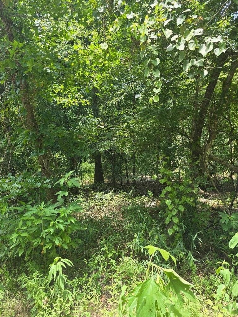 0.5 acres in Texas County
