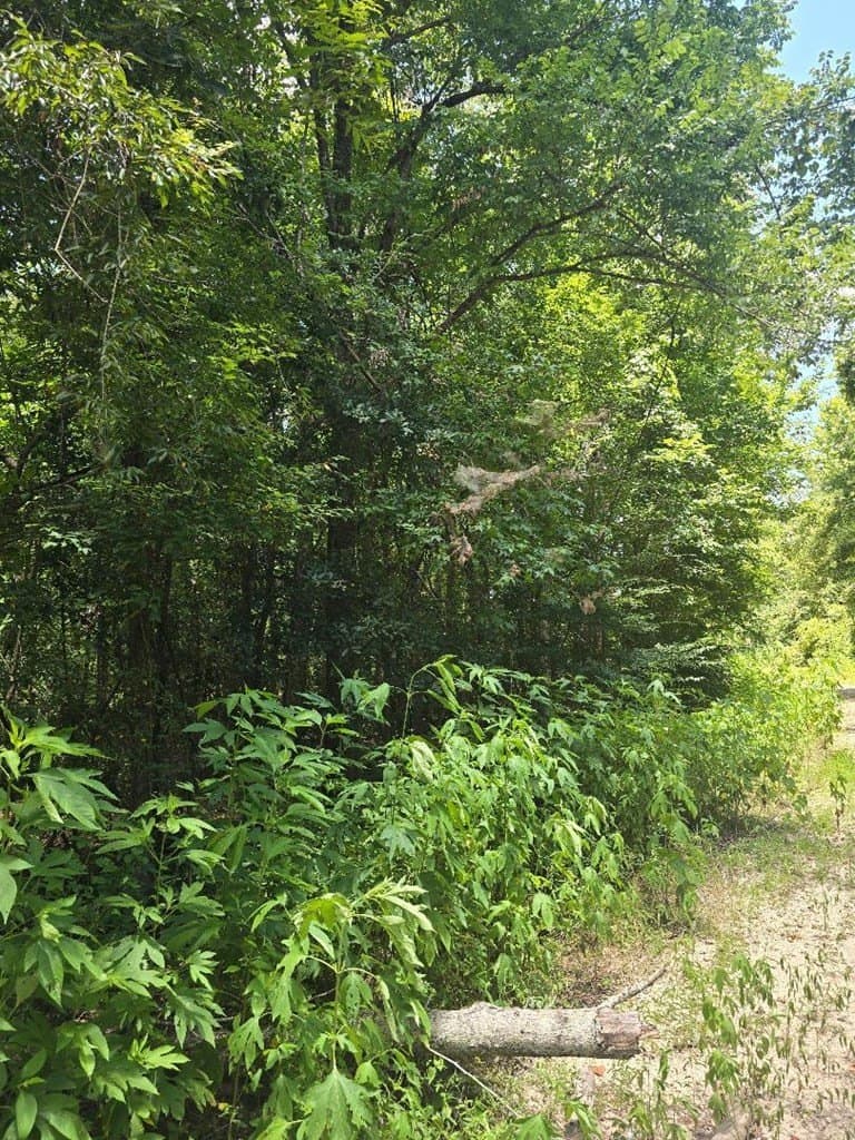 0.5 acres in Texas County - photo 5