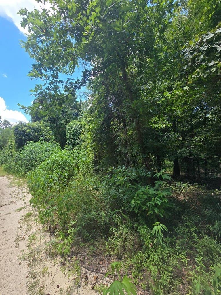 0.5 acres in Texas County - photo 3