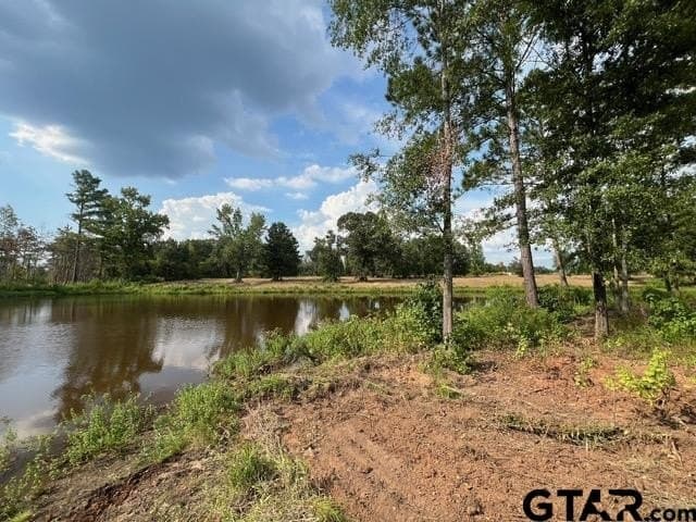 101 acres in Gregg County - photo 10