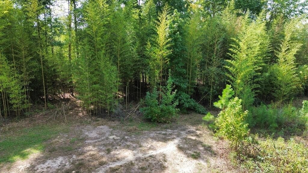 1.4 acres in Texas County - photo 6