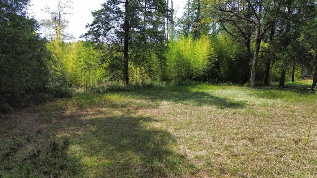 1.4 acres in Texas County - photo 9