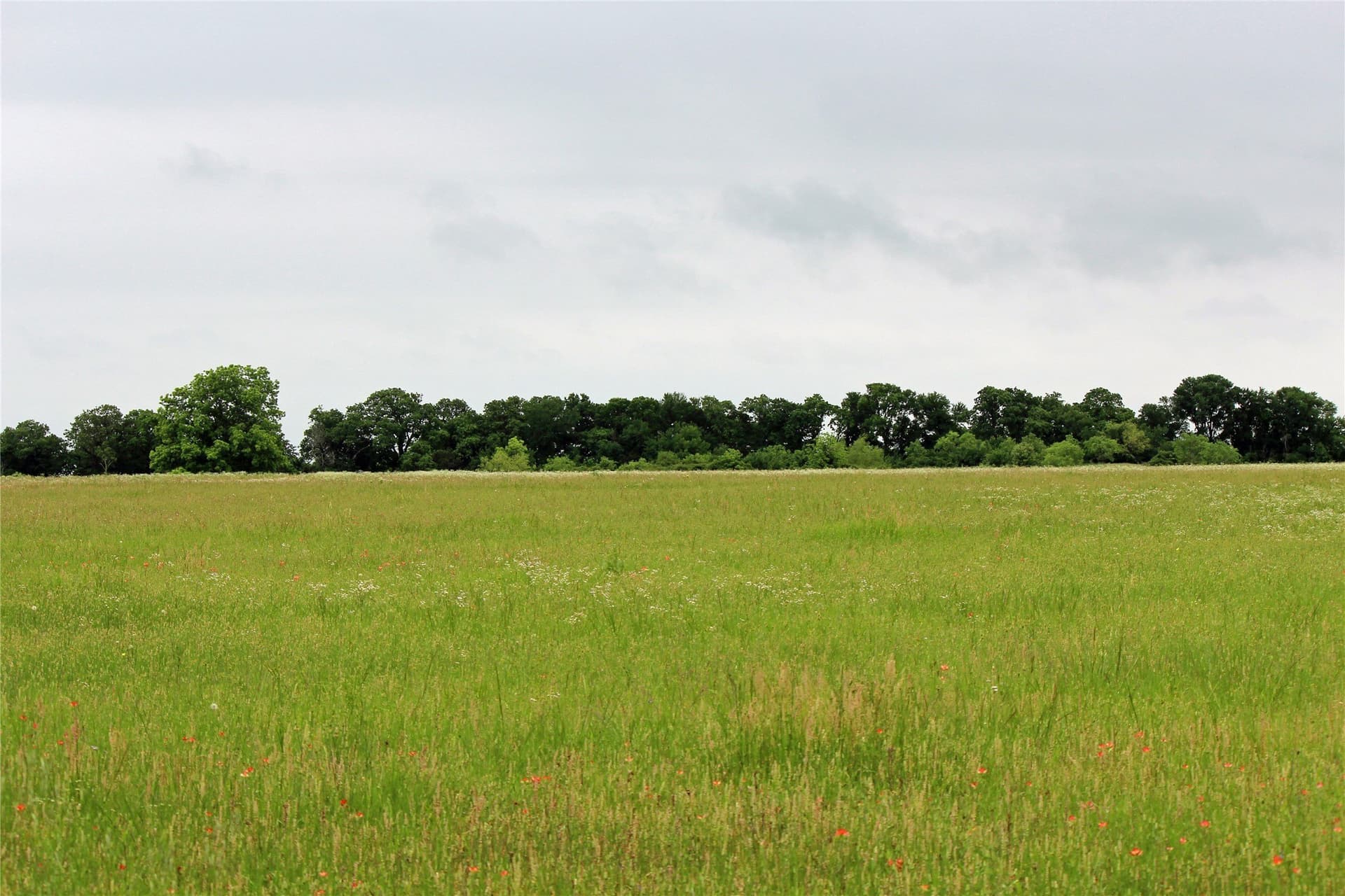 38.16 acres in Johnson County - photo 8